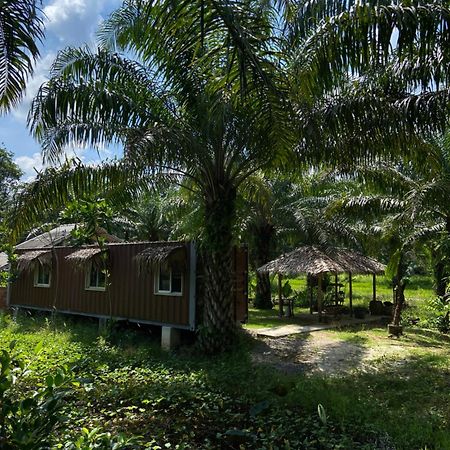Forest Guesthouse Ban Don Muang  Exterior foto