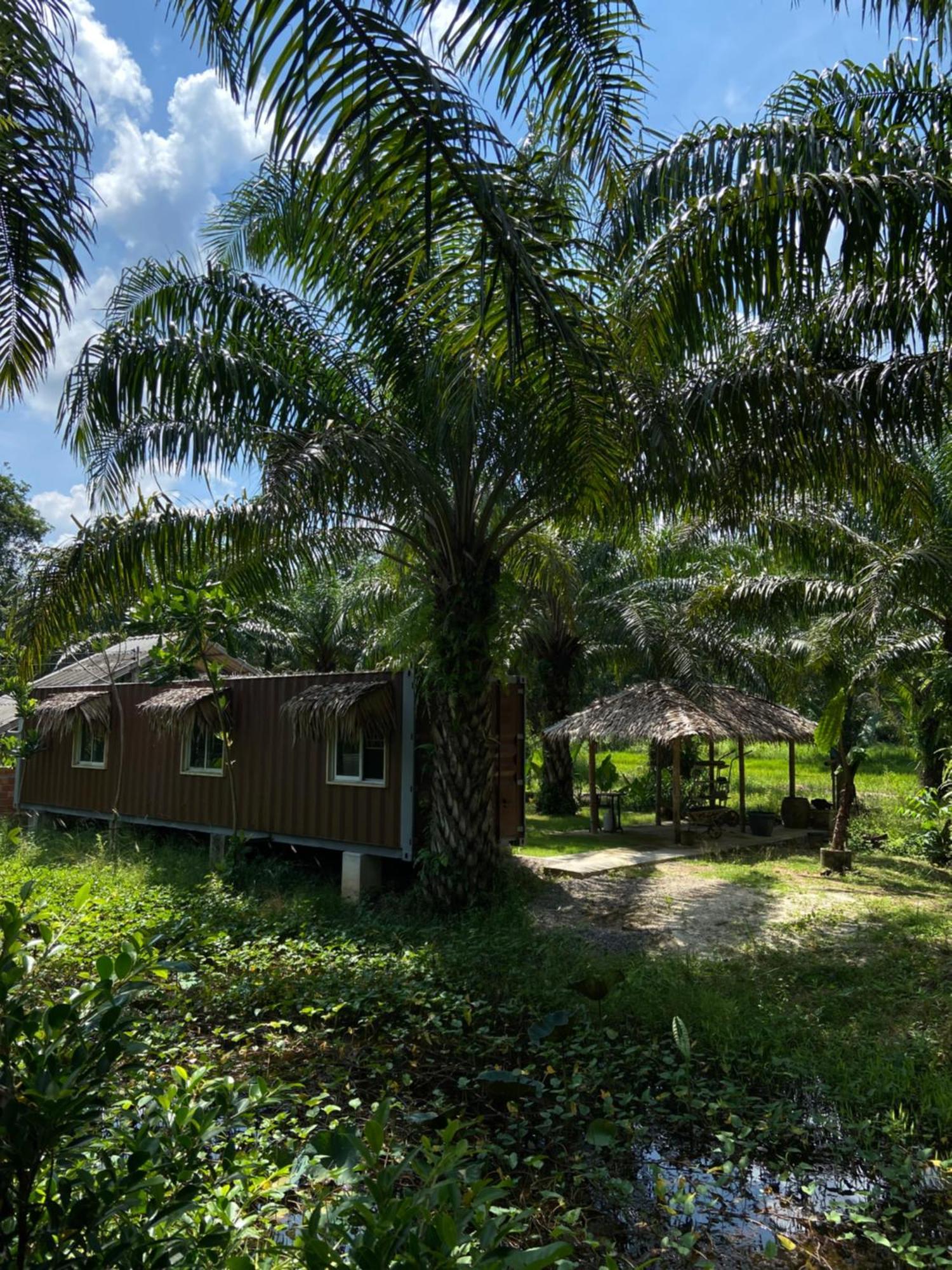 Forest Guesthouse Ban Don Muang  Exterior foto